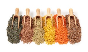 Lentils: The Perfect Food