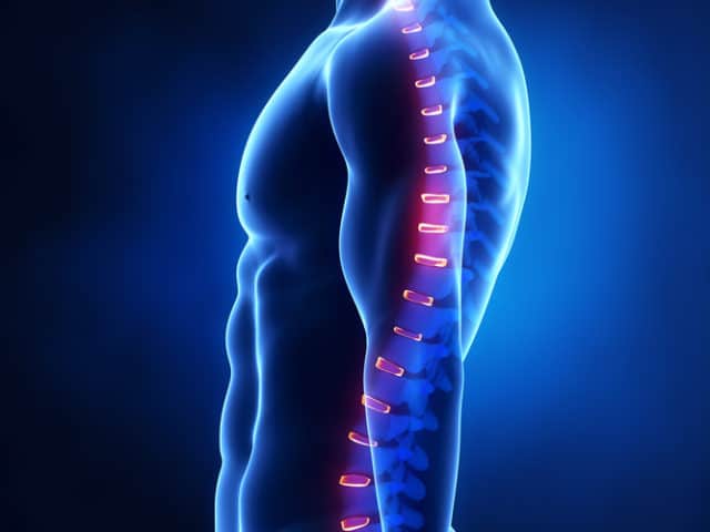 From Gym Newbies To Seasoned Fitness Buffs: Why Everyone Needs Perfect Posture Start Here For A Safer And More Effective Workout From Gym Newbies To Seasoned Fitness Buffs: Why Everyone Needs Perfect Posture Start Here For A Safer And More Effective Workout