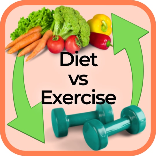 Diet vs Exercise