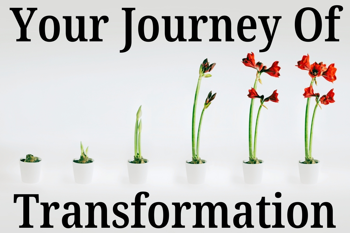 25-04-03 Transform - 00