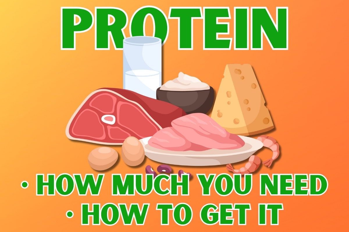 25-05-01 Protein - 00