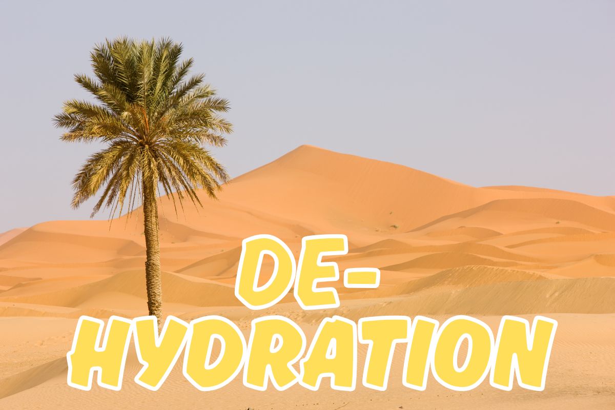 25-06-12 Hydration - 05