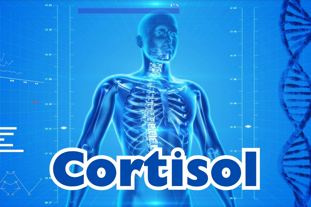 25-10-30 Sleep Stress Weight Gain - 1