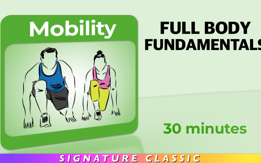 Mobility – Full Body Fundamentals