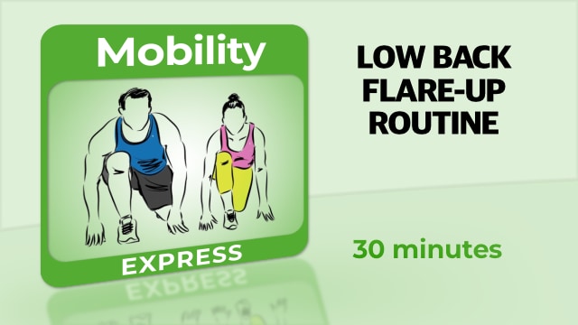 Mobility – Low Back Flare-Up Routine